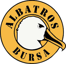 Albatros Bursa Tanı ve Değerlendirme Merkezi